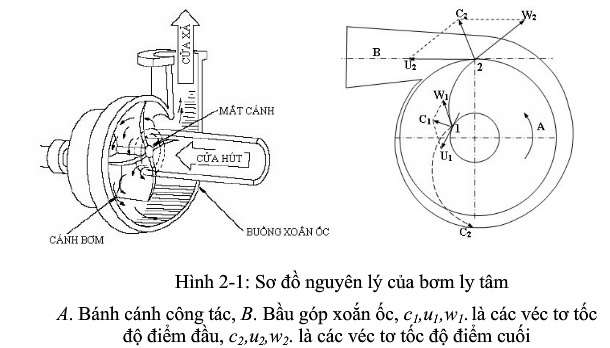 CẤu TẠo NguyÊn LÝ HoẠt ĐỘng VÀ Ứng DỤng BƠm Ly TÂm